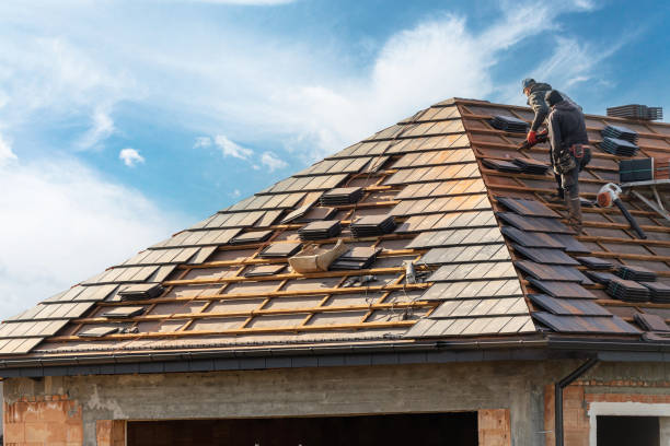 Best Roof Ventilation Installation  in La Cienega, NM